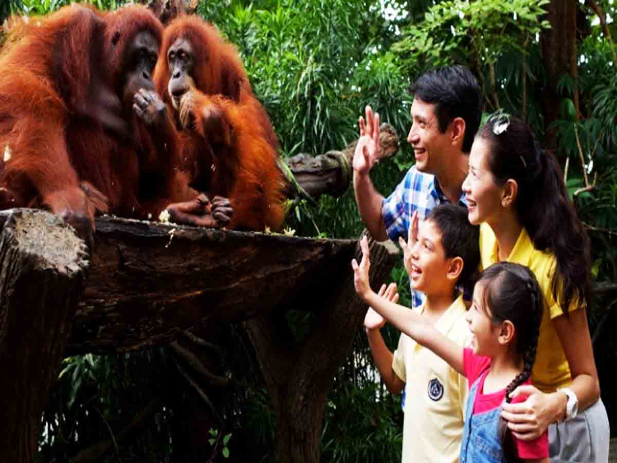 चिड़ियाघर प्रेमी दिवस कब मनाया जाता है | Zoo Lover’s Day Kab Manaya Jata Hai