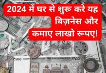 2024 में घर से शुरू करे यह बिज़नेस और कमाए लाखो रूपए! – Home Business Idea Home Business Idea