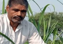 Success Story: प्राकृतिक खेती का महत्व समझने से बदली इस किसान भाई की किस्मत, जानिए पूरी मामला