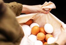 रोजाना अंडा खाना सही या गलत? साइंस ने दिया चौंकाने वाला जवाब!
