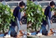 इंदौर में बीच सड़क प्रेमी पर टूटा गर्लफ्रेंड का कहर: चप्पलों से पीटा, कपड़े उतरवाए और साथ ले गई, वीडियो हुआ वायरल