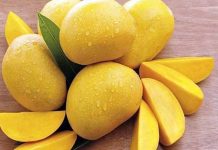 ज्यादा आम खाने से शरीर को हो सकते हैं यह बड़े नुकसान, जानिए विशेषज्ञों की राय