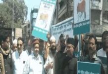 भोपाल में सामाजिक सौहार्द की मिसाल, मुस्लिम समाज ने उठाई गाय को राष्ट्रीय पशु बनाने की मांग