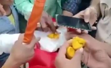स्वतंत्रता दिवस पर बच्चों में बांटे लड्डू, अंदर मिले कीड़े; मचा हड़कंप